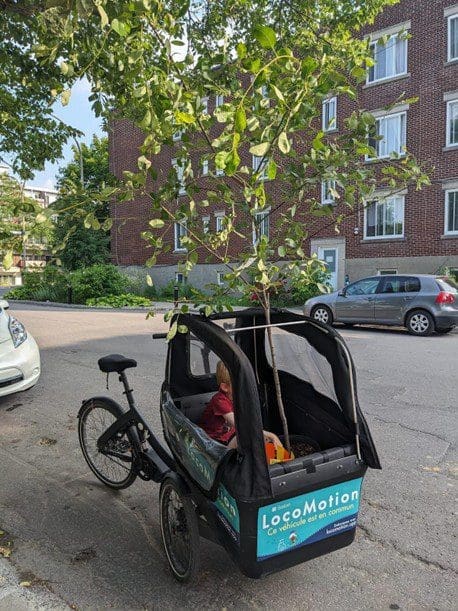 Un vélo locomotion avec une remorque adapté pour les enfants