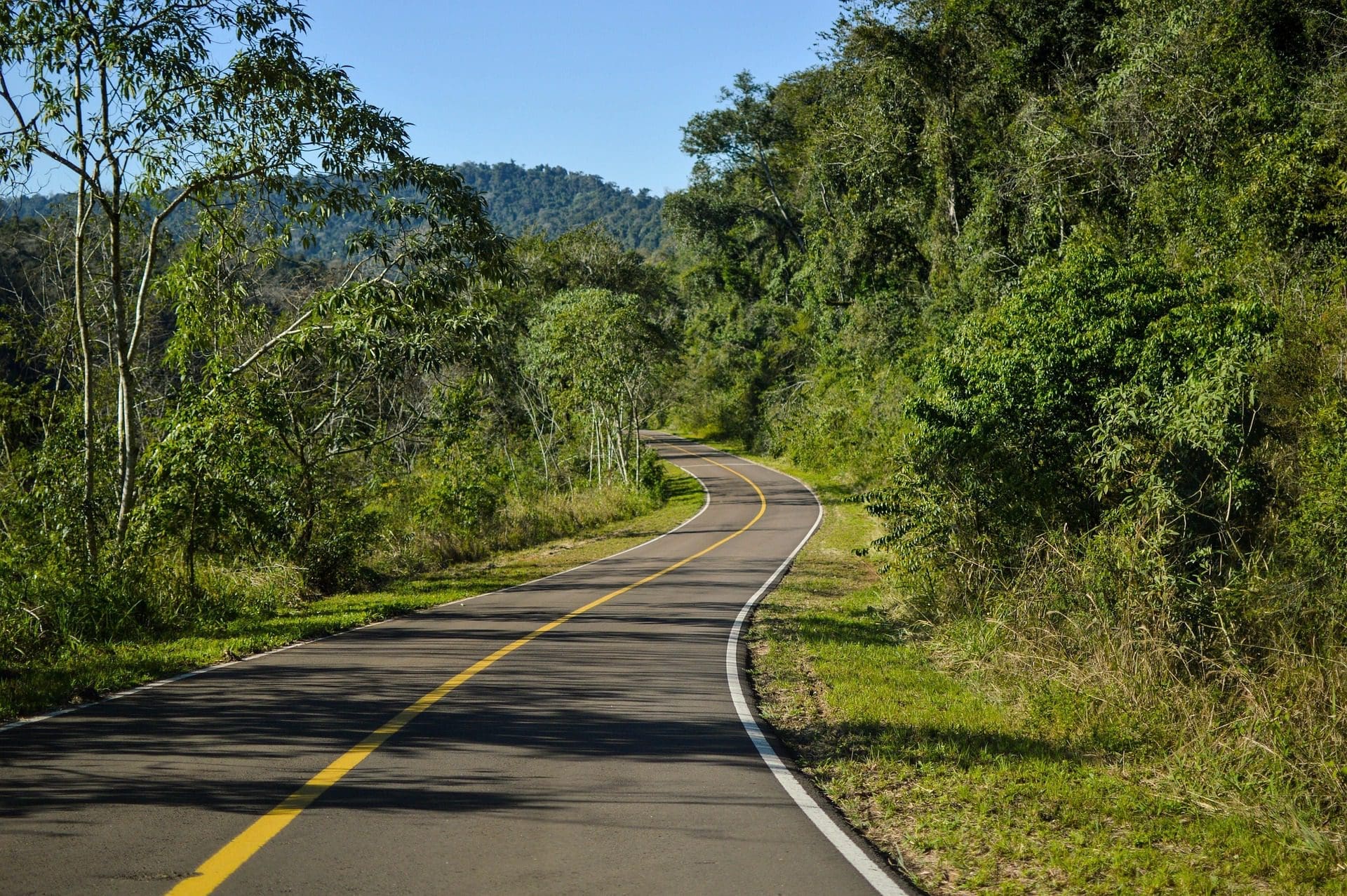 Une route sinueuse bordée de lignes jaunes traverse une forêt luxuriante et verdoyante. De grands arbres et un feuillage dense bordent les deux côtés, et des collines lointaines sont visibles sous un ciel bleu clair.