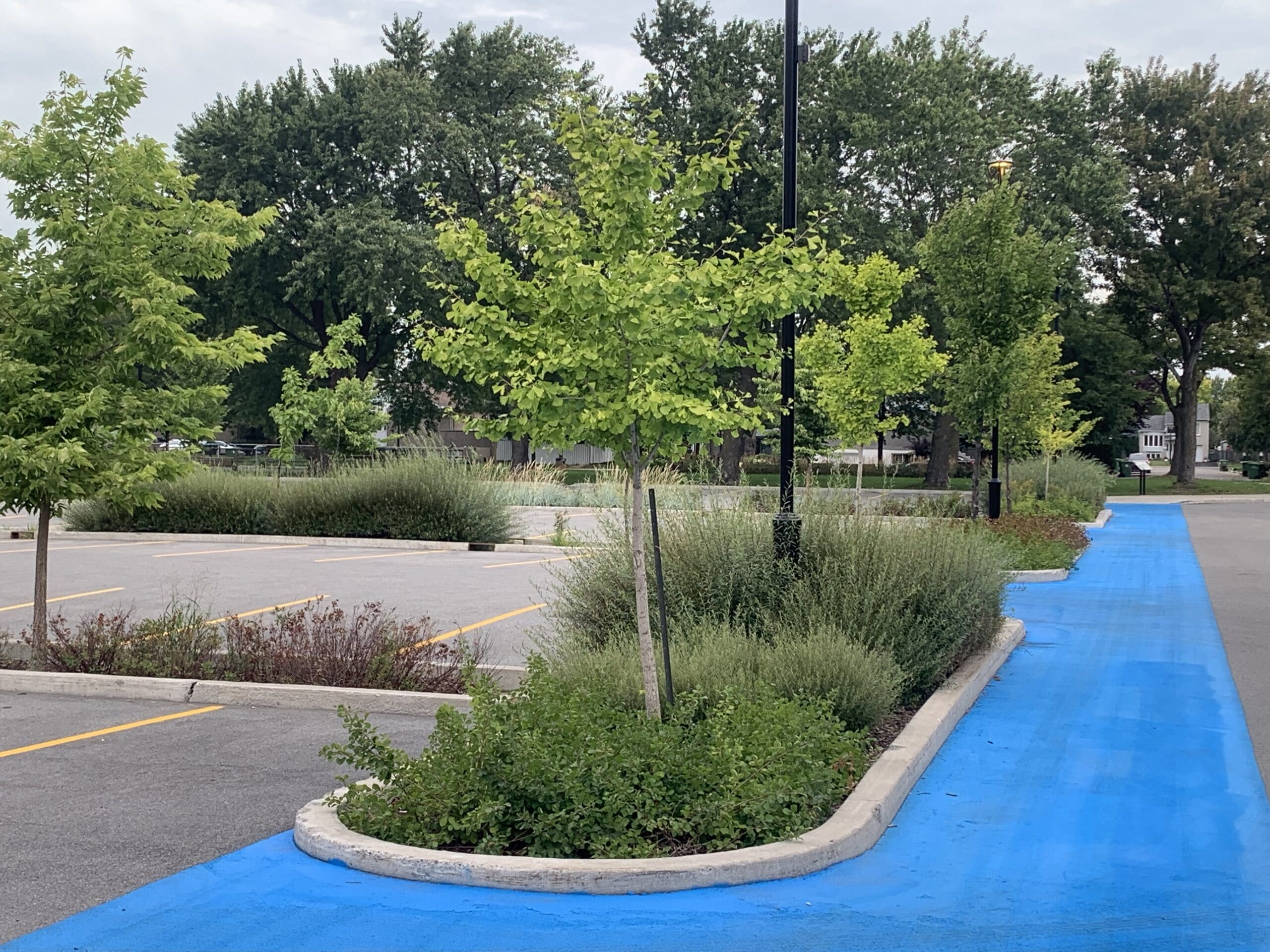 Parking avec un sentier peint en bleu le long d'arbres et d'arbustes plantés. Le terrain est en grande partie vide, avec de grands arbres et un ciel couvert en arrière-plan.