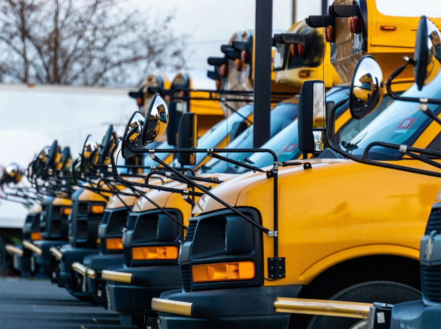 Parking avec une série d'autobus scolaire jaune stationnées en ligne